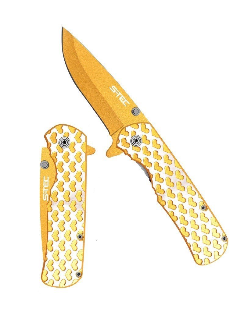 8″ Spring Assisted Folding Knife Silver Handle with Gold Heart -T271406GD