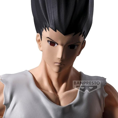 HUNTER x HUNTER FL GON - 29178