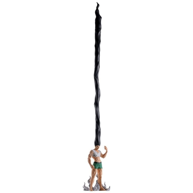 HUNTER x HUNTER FL GON - 29178