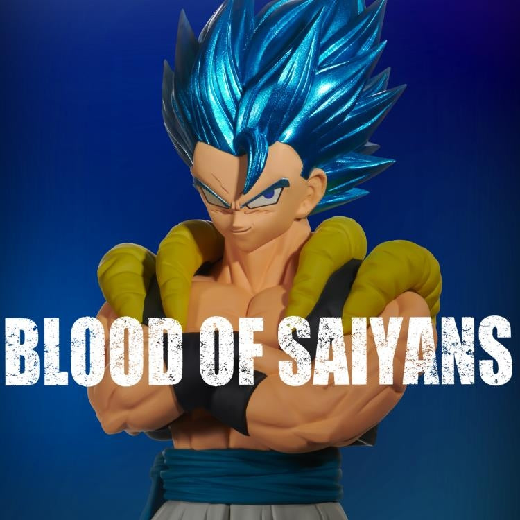 Dragon Ball SUPER BLOOD OF SAIYANS- Super Saiyan Gogeta - 29905