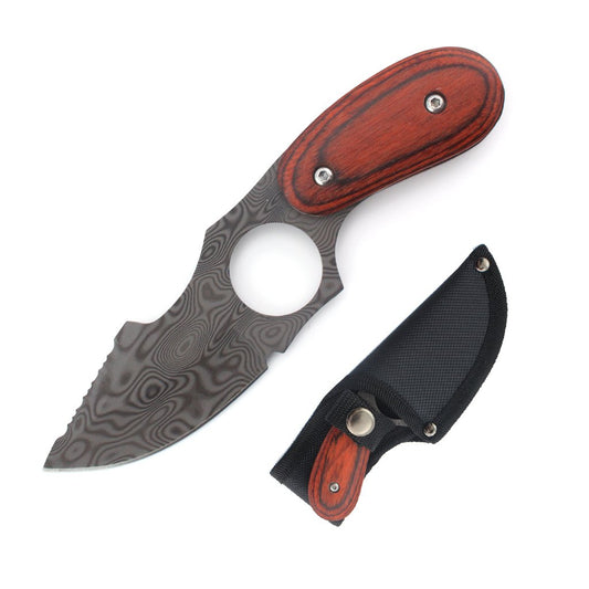6.3″ Full Tang Fixed Blade Hunting Knife w/ Index Guard - T2260983D